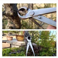 Foto 3 Gunting Dahan Pemotong Catok Bonsai 21cm 210mm Cabang Pohon Berkebun Tanaman Hias MSW 55