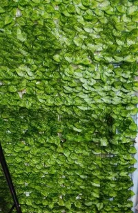 Foto 4 Daun Alaska Rumput Sintetis 1x3 meter