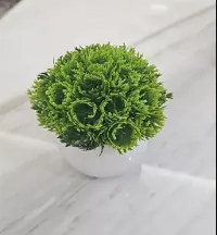 Foto 2 Tanaman Hias Plastik Bunga Bonsai Mini