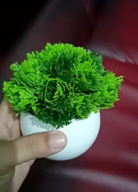 Foto 3 Tanaman Hias Plastik Bunga Bonsai Mini