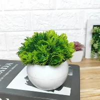 Foto 1 Tanaman Hias Plastik Bunga Bonsai Mini