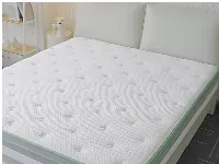 Foto 2 Kasur Spons Busa Spring Bed 120x200x25