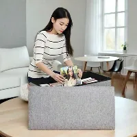 Foto 4 Sofa Box Storage Ukuran Medium 50x30