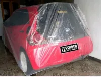 Foto 4 Sarung Cover Transaparan Mobil Brio