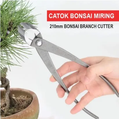 Jual Gunting Dahan Pemotong Catok Bonsai 21cm 210mm Cabang Pohon Berkebun Tanaman Hias MSW 55 Di Samarinda — Lapak Perkakas